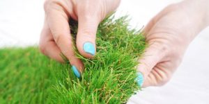 perawatan rumput sintetis outdoor